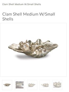 Regina Andrew Clam Shell Medium with Small Shells 20-1003
